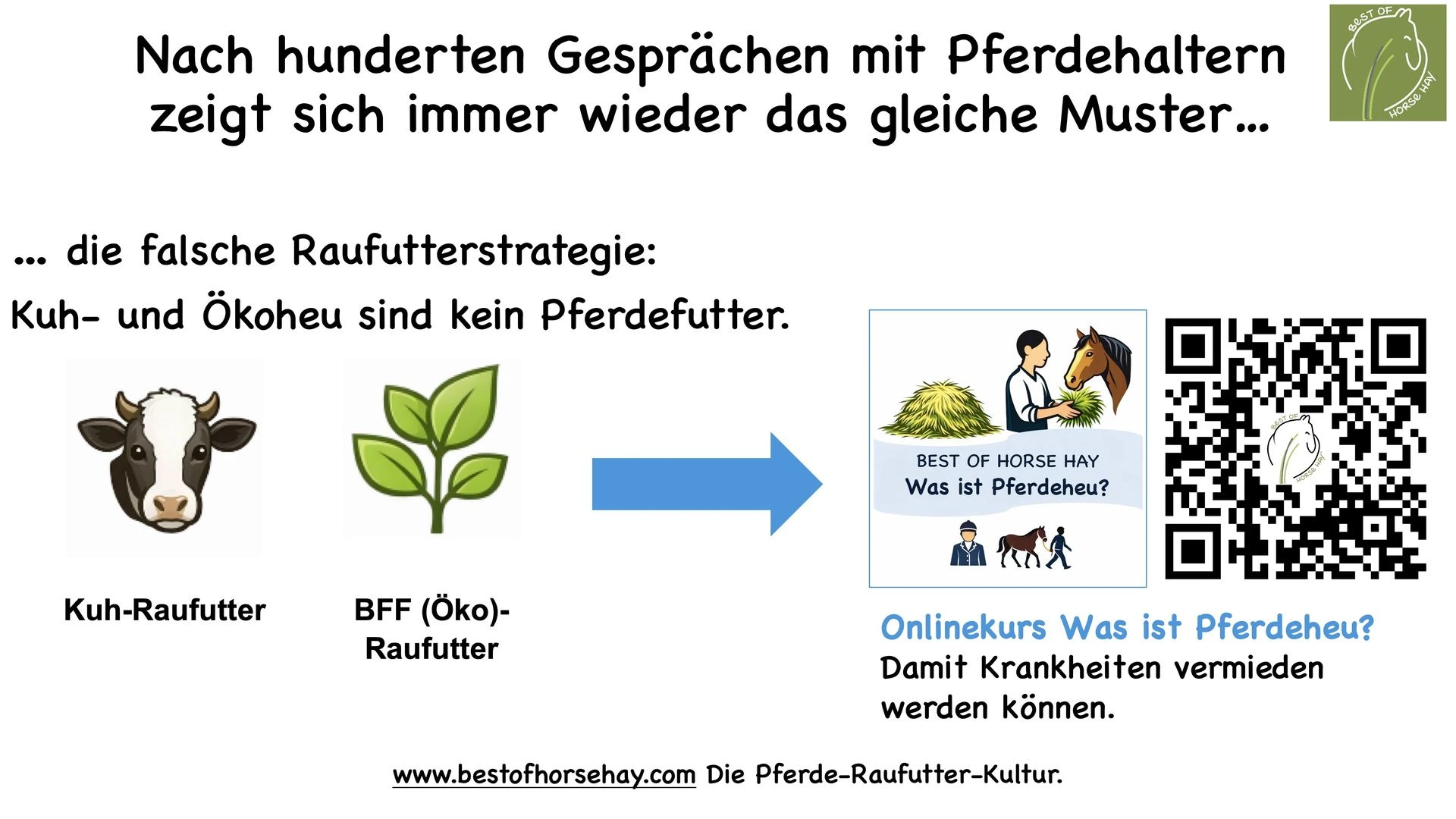 Pferdefütterungs-Fehler BEST OF HORSE HAY
