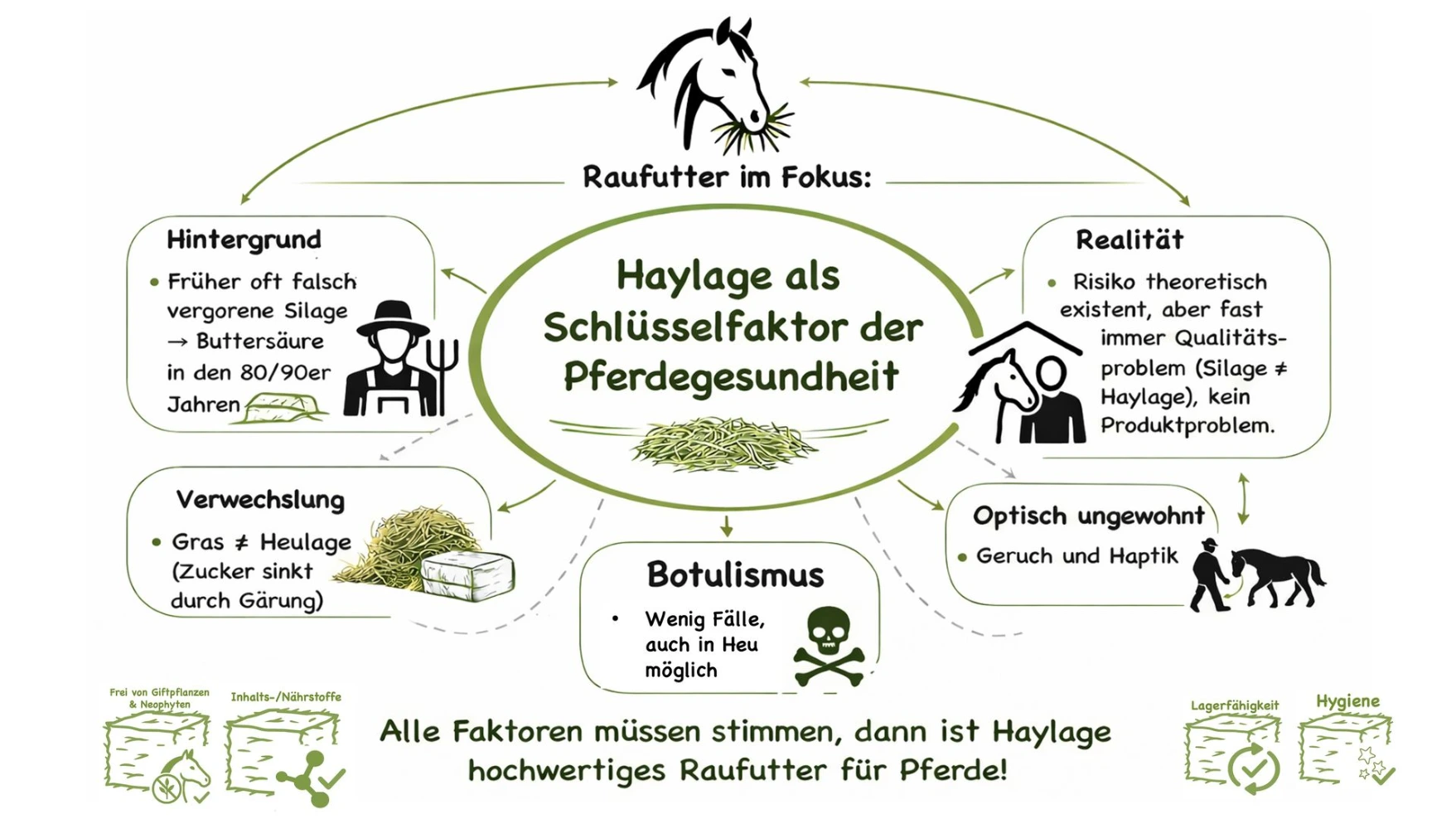 Haylage Schlüsselfaktor Copyright BEST OF HORSE HAY