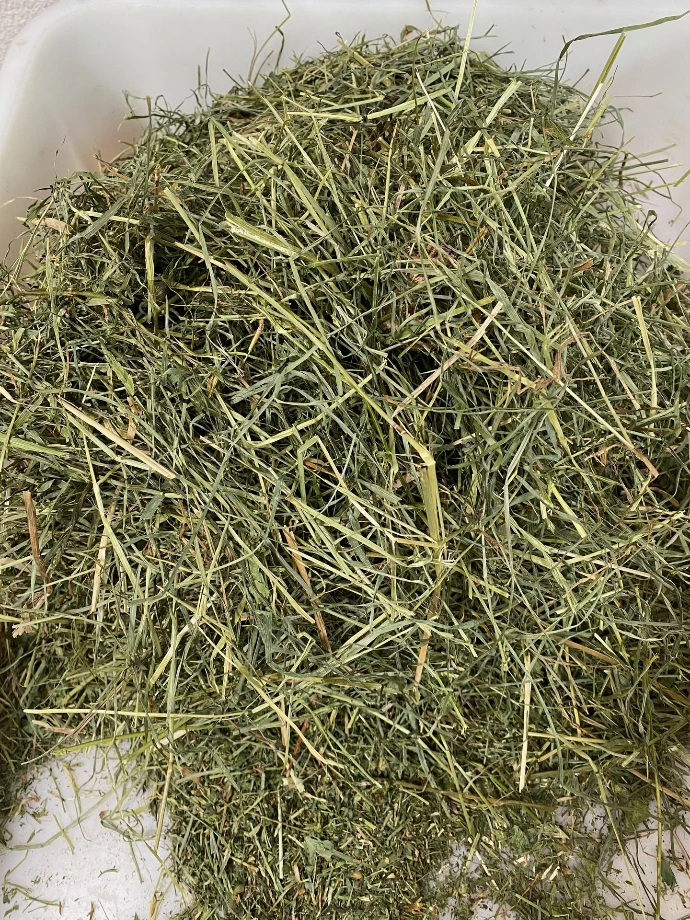 BEST OF HORSE HAY steht für Vertrauen, Nachhaltigkeit und Qualität – vom Feld bis zum Futtertrog. Fundiertes Wissen aus der Lehre und der täglichen Praxis auf der Wiese. 