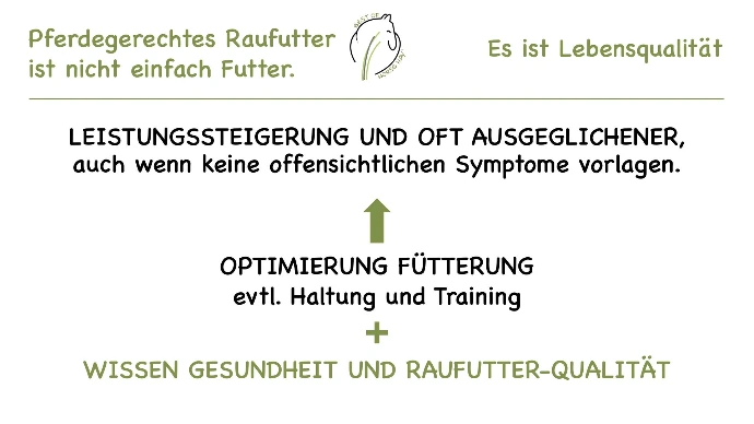 BEST OF HORSE HAY - der Schlüssel zu einer robusten Gesundheit