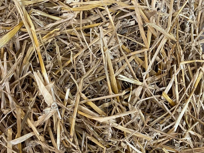 Stroh - die Alternative für Diäten und zufriedenere Pferde. Erfahre das WIE. BEST OF HORSE HAY