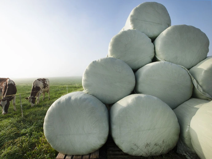 Haylage durchaus eine sinnvolle Alternative für Pferde mit Atemwegserkrankungen. Erfahre warum mit BEST OF HORSE HAY
