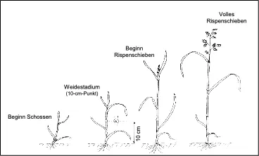 Nährstoffprofil 2.webp
