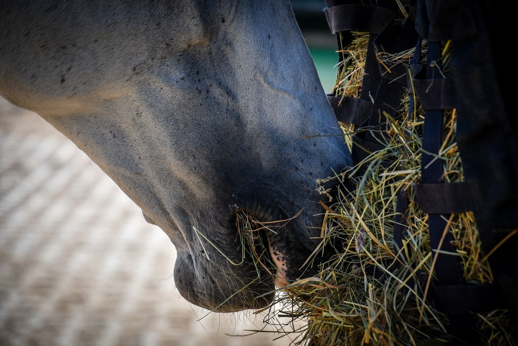 Agroscope SNG_C.Althaus10.jpg