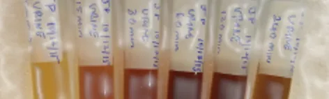 Pferdefuetterung BlutanalyseSerum.webp
