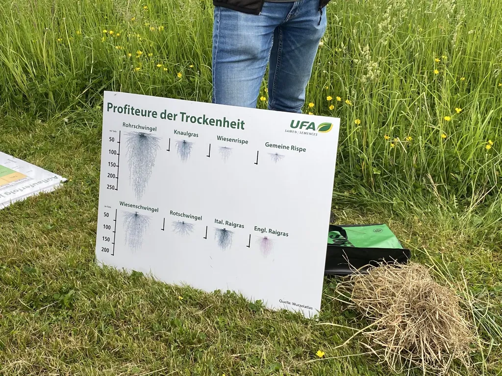 Pferdheu-Produktion-Saatgut-Praxistag.webp