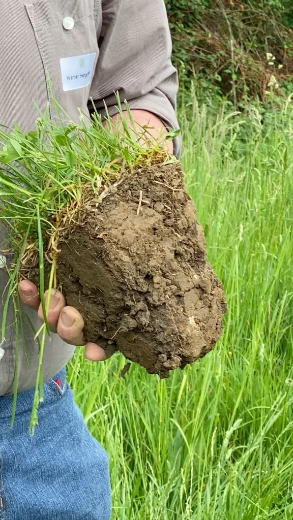 Heuproduktion-Bodenqualitaetwebp