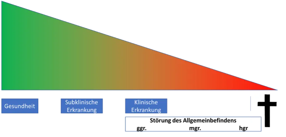 Pferdegesundheit.webp