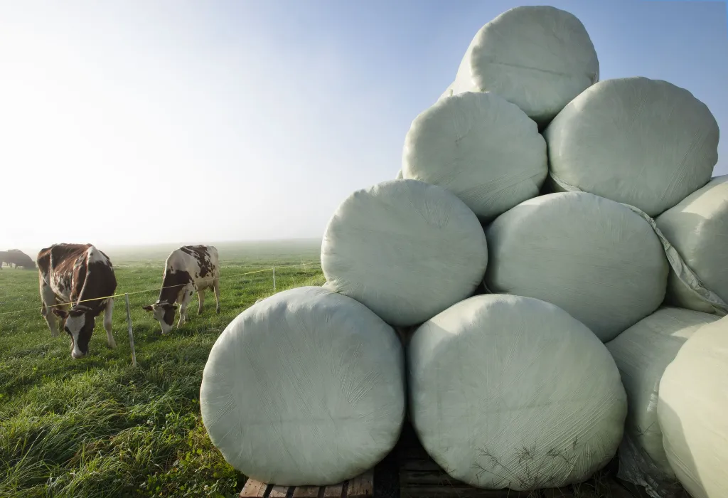 Pferdefuetterung-Haylage-Heulage.webp