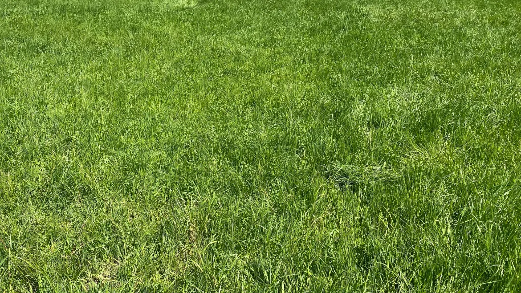 0 Einführung Titelbild allein.webp