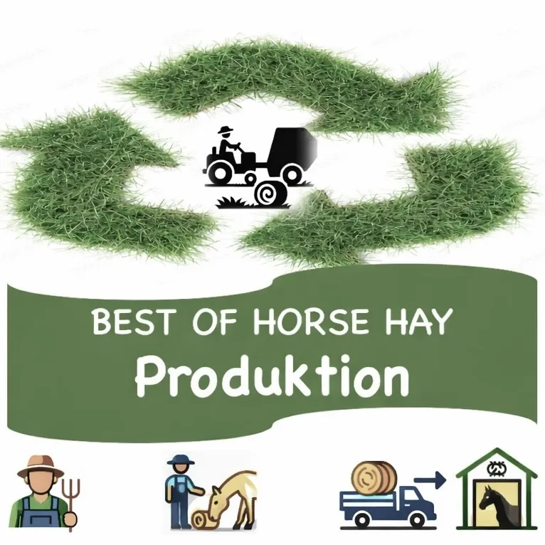PRODUKTION