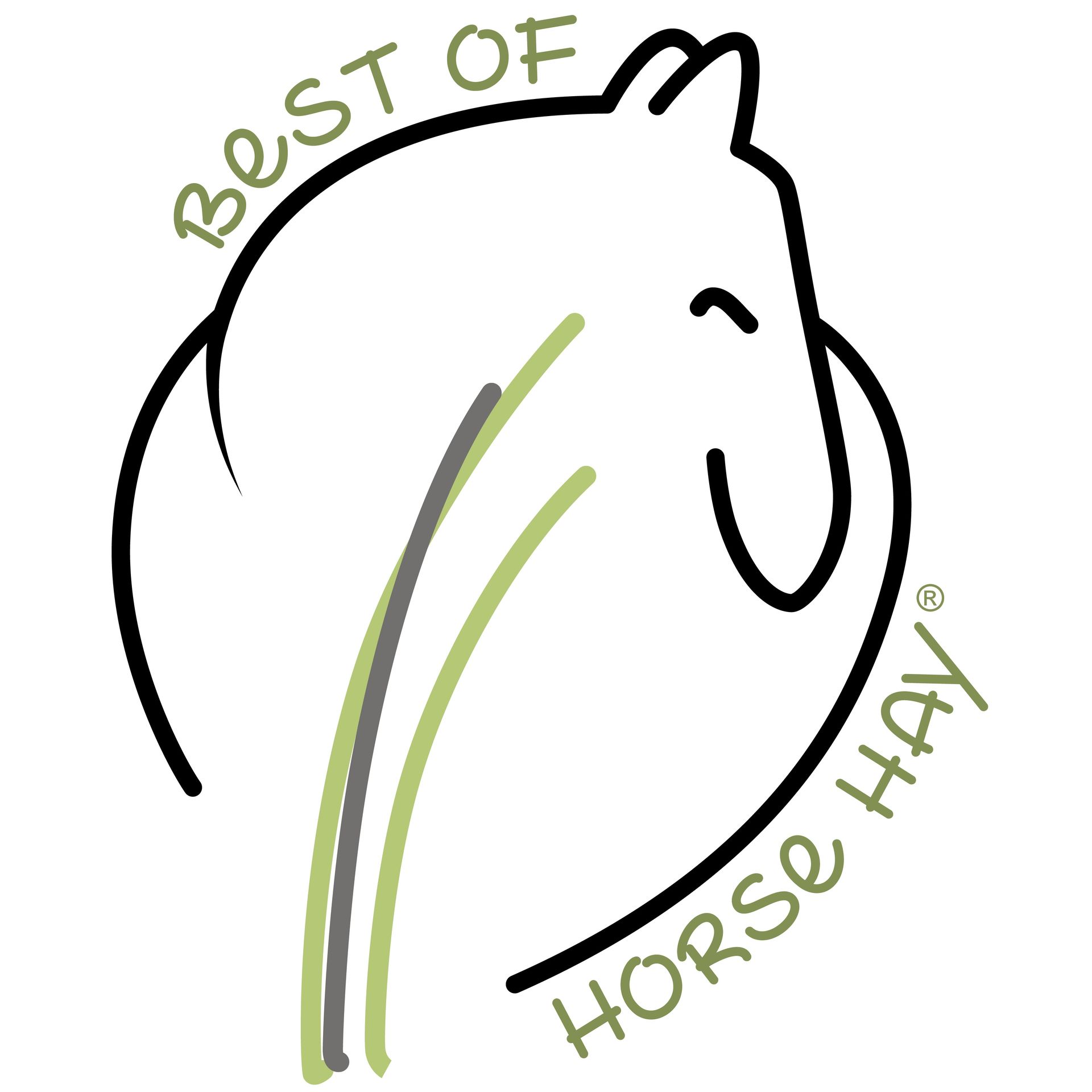 BEST OF HORSE HAY